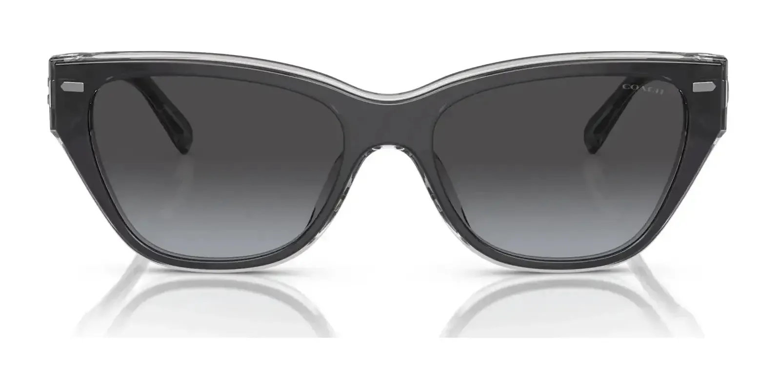 Coach CH570 HC8370U Sunglasses | Size 54
