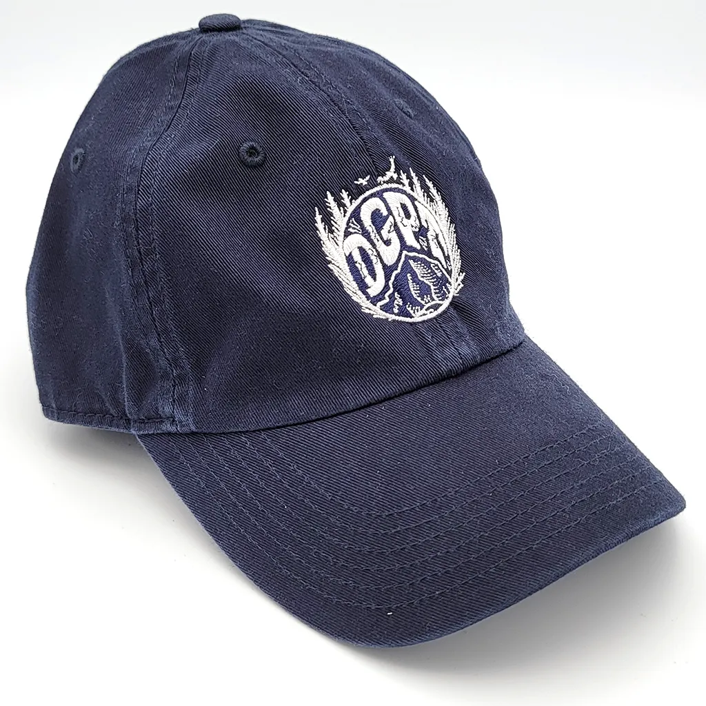 DGPT Nationally Parked Dad Hat - Navy
