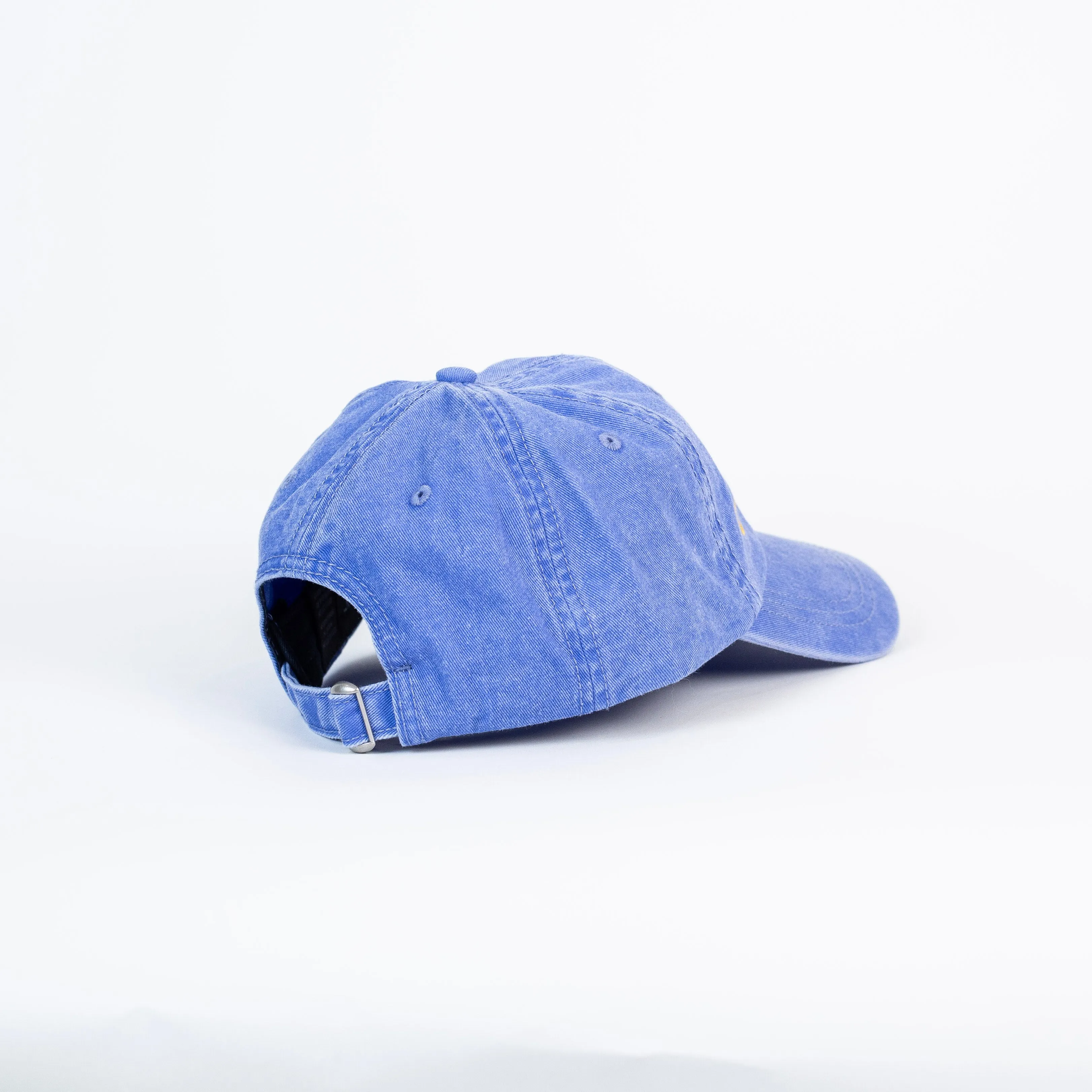 Roncy Chain Stitch Dad Hat (Periwinkle)